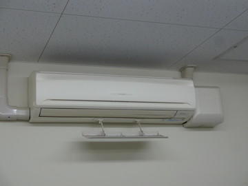 DSC04833.jpg
